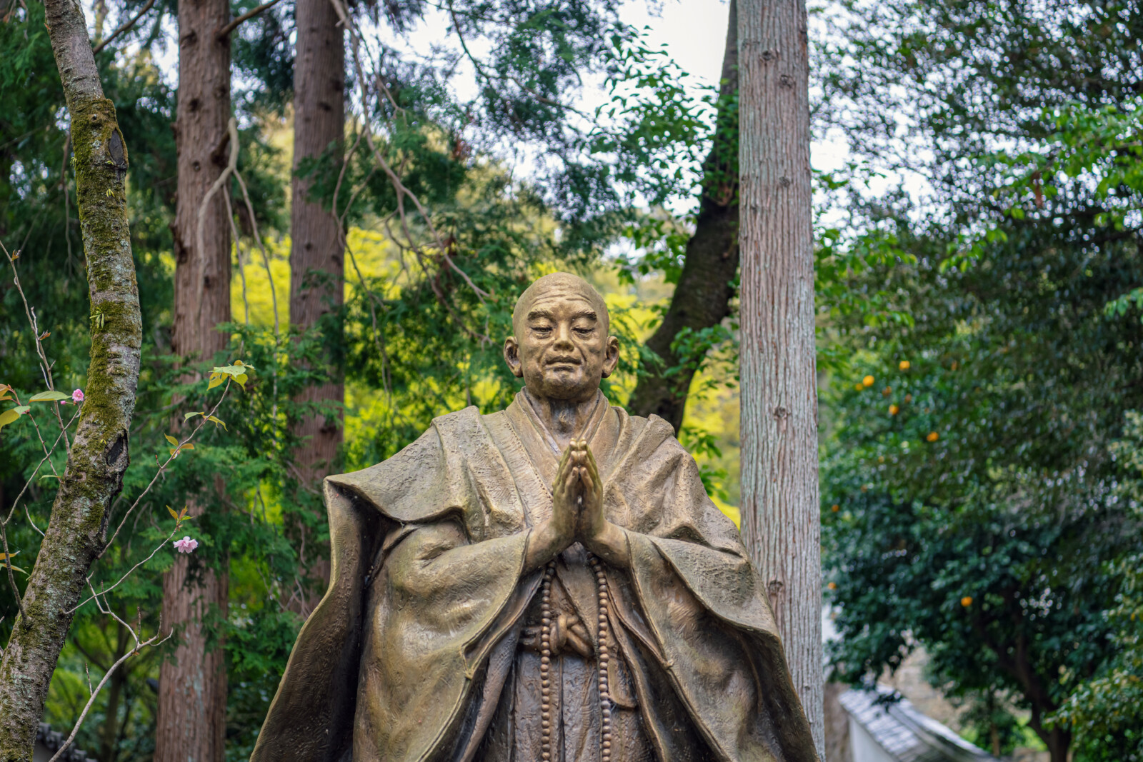 今年は浄土宗が開かれて850年。「南無阿弥陀仏」があなたに寄り添う