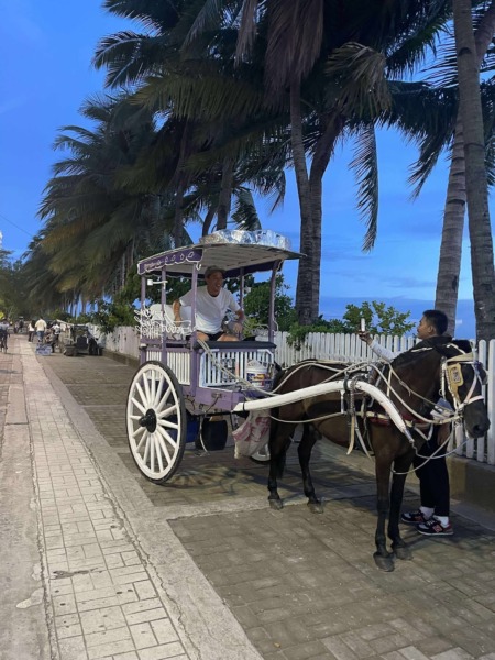 【ブログ・斎藤光司】マキノ祭典のミステリーハンターによるマニラお葬式探訪記